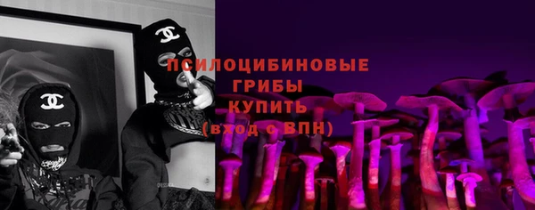 тгк Барнаул