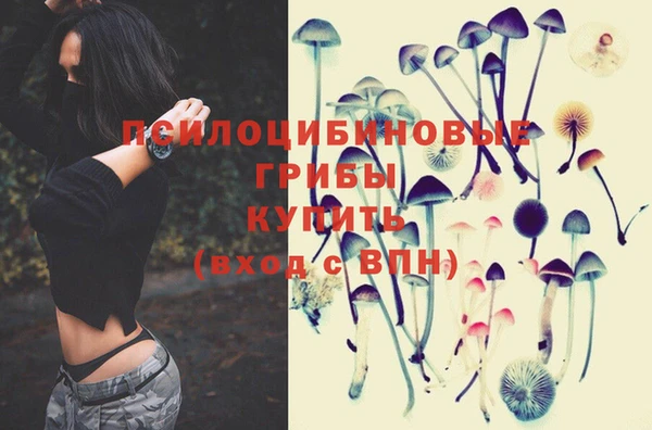 спиды Тольятти