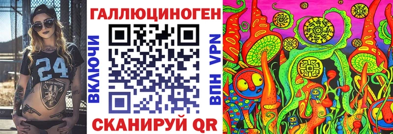 Купить где  Тихорецк  Галлюциногенные грибы Psilocybe 